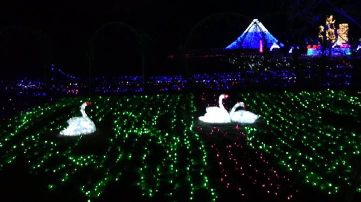 日本战犯本间雅晴生平经历本间雅晴为什么被处死？“必一·体育”