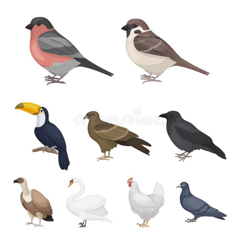 “bsport必一运动”迷晕张学良的赵四到底有多美？