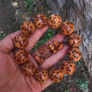 【必一·体育】解密历史上的太上皇现象