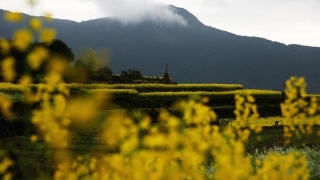 bsports必一_美空网超模吴丹鱼尾长裙亮相第14届华鼎奖