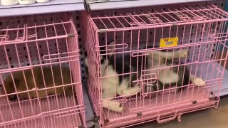 许魏洲新专《15分钟的光芒》封面照公开 