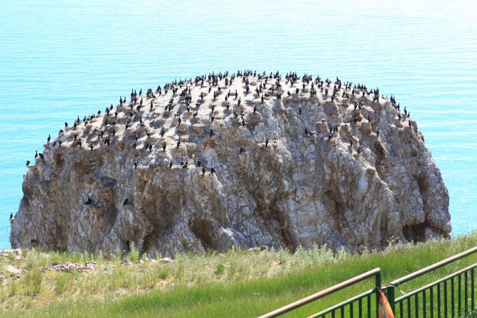 揭秘毛主席专列机车|bsport必一运动(图3) bsports必一