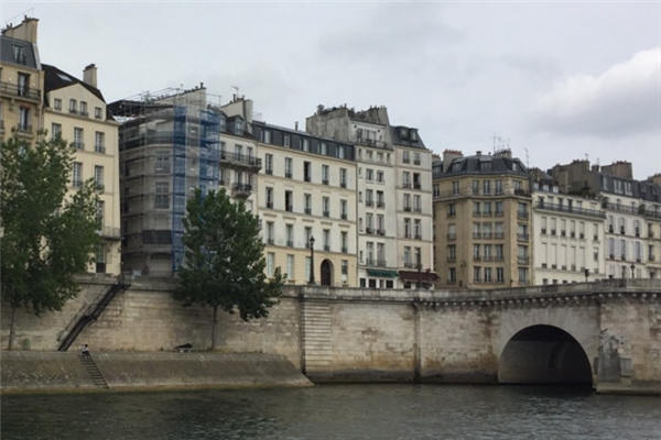 必一·体育_黄茶的种类(图3) bsport必一运动